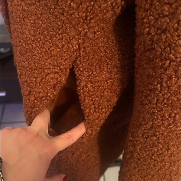 Sam Edelman Rust Teddy Jacket - Picture 6 of 12
